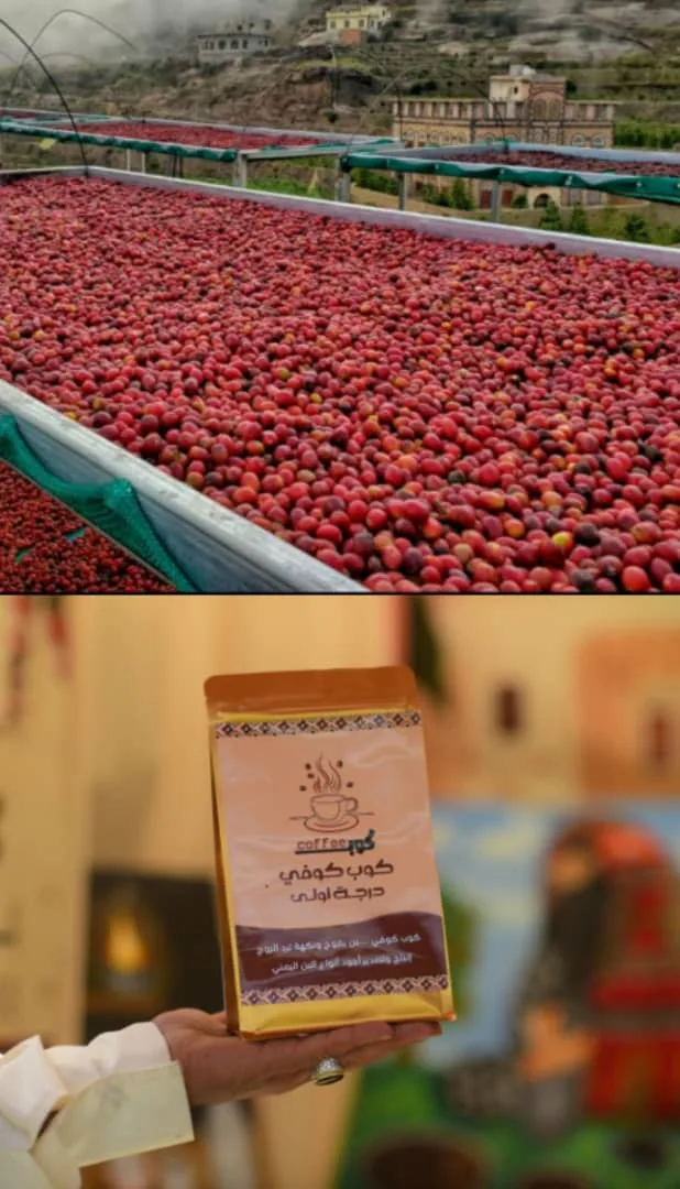 بن يمني تحميص وسط عبوة 250g — كوب كوفي لاجود انواع البن اليمني